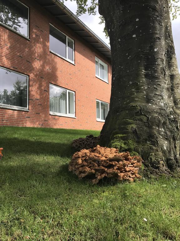 Hotel Jernbanegade Kibæk المظهر الخارجي الصورة